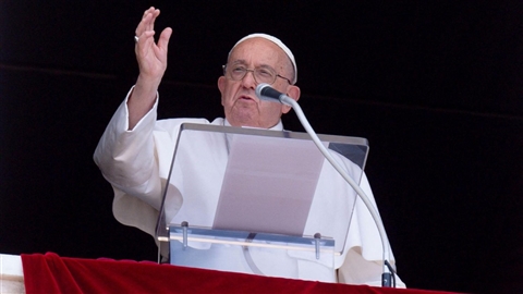 Il Papa: seminare il Vangelo con fiducia e pazienza in ogni ambito di vita